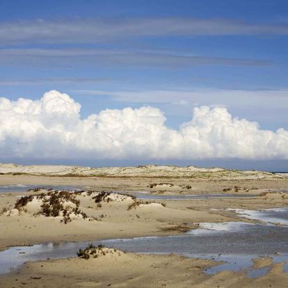 Seguia Strand (Aghir)