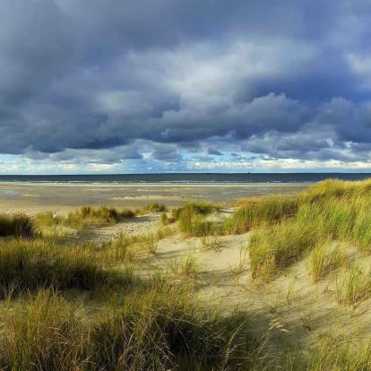 Bergen (Nordholland)