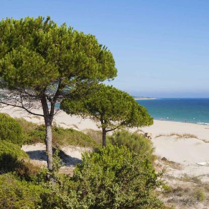 Conil de la Frontera