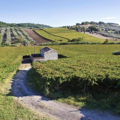 Campagnolo (Ovindoli)