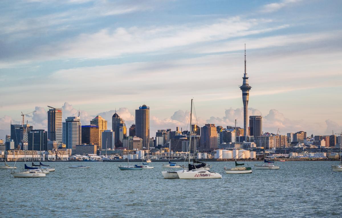 Skyline Auckland City