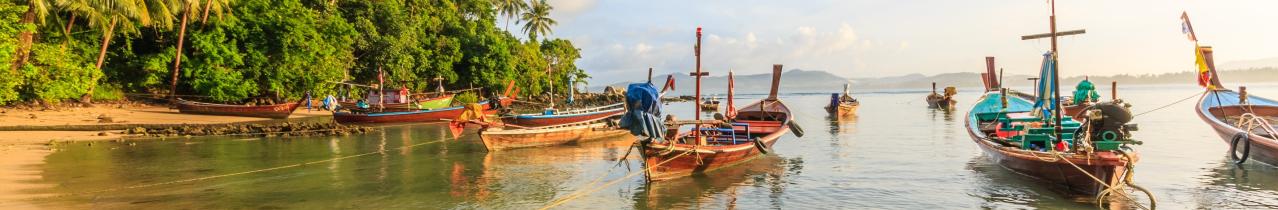 Palmengesäumter gelber Strand mit angelegten thailändischen Booten