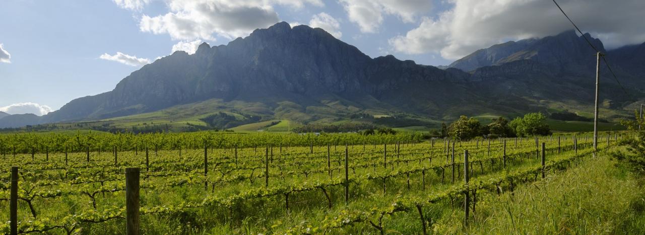 Rundreise Südafrika: Tulbagh