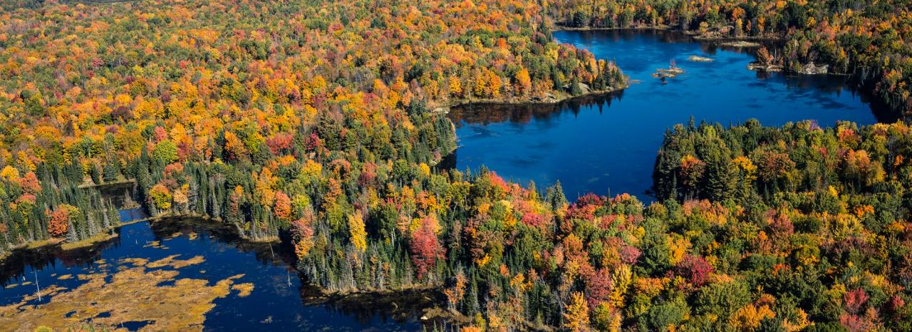 Rundreise Kanada: Südosten - Algonquin