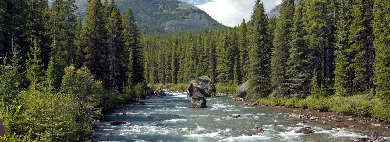 Rundreise Kanada: Vancouver Island - Strathcona