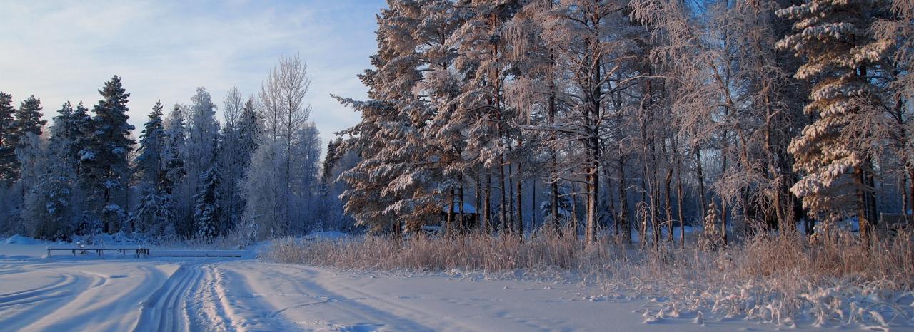 Rundreise_Schweden: Norden - Lycksele