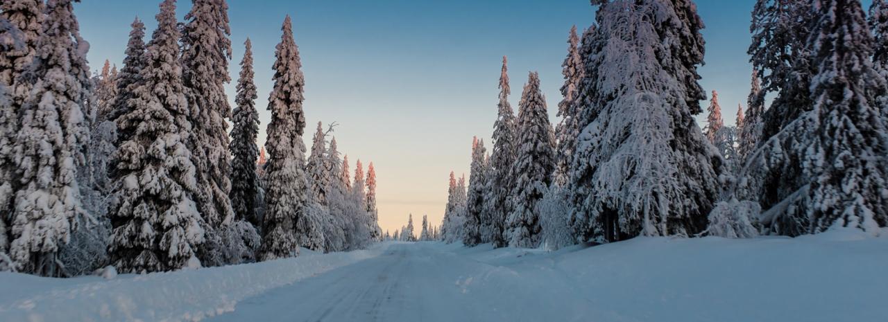 Rundreise_Schweden: Norden - Arvidsjaur