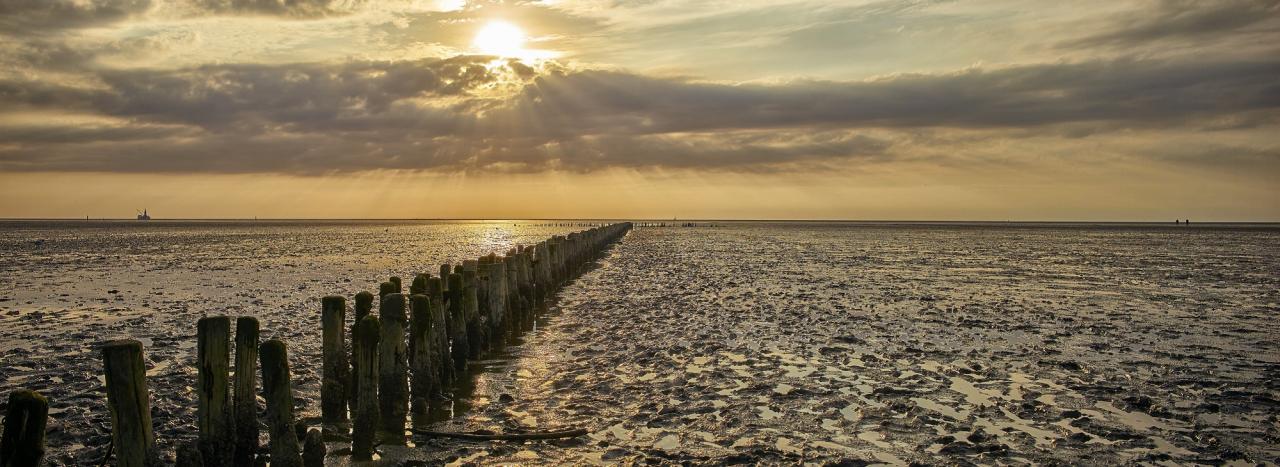 Rundreise_Deutschland: Nordische UNESCO Route - Wattenmeer
