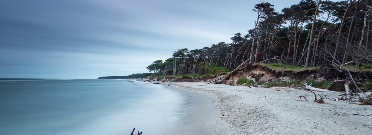 Rundreise_Deutschland: Nordische UNESCO Route - Boddenlandschaft