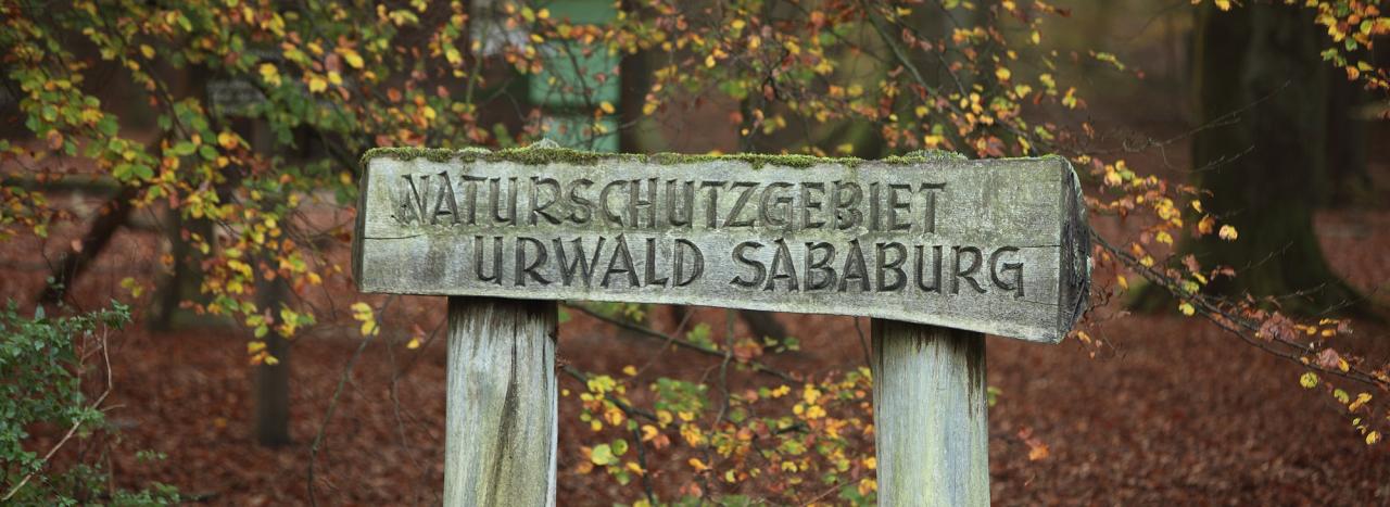 Rundreise_Deutschland: Märchenstraße - Hofgeismar