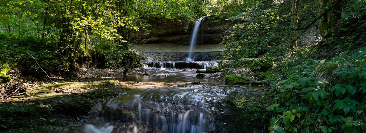 Rundreise_Deutschland: Alpenstraße - Scheidegg