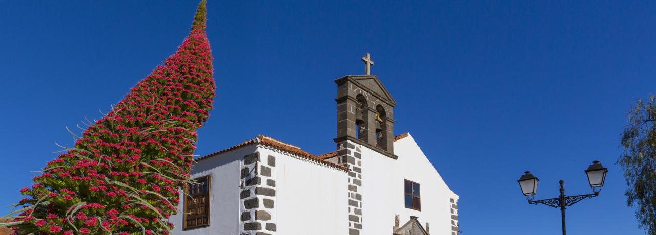 Rundreise_Spanien: Teneriffa - Vilaflor