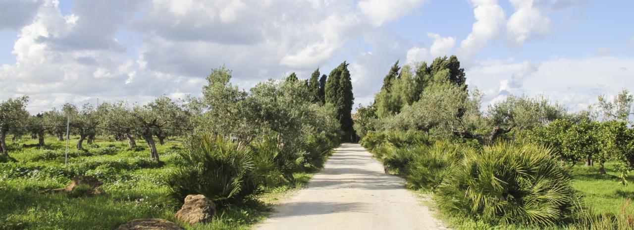 Rundreise_Italien: Sizilien - Caltanisetta