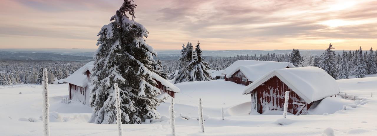 Rundreise_Norwegen: Lillehammer