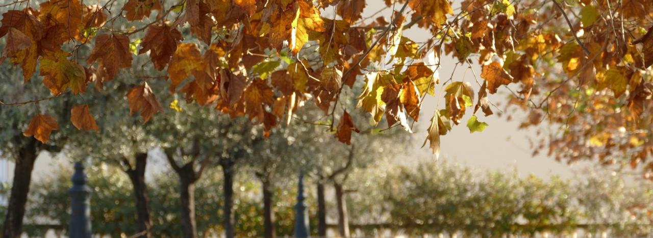 Rundreise_Frankreich: Provence - Hyeres