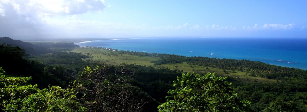 Dominikanische Republik: Las Terrenas Playa Coson Landschaft