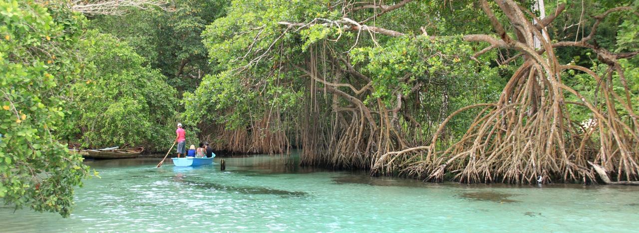 Dominikanische Republik: Strand Playa Rincon 2