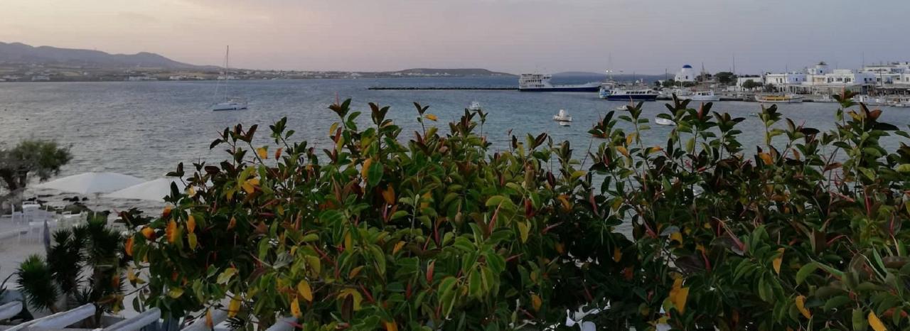 Rundreise Griechenland: Inseln - Antiparos