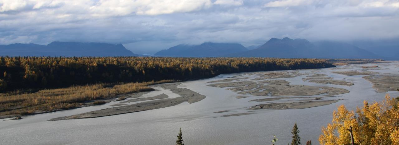 Rundreise USA: Alaska - Denali