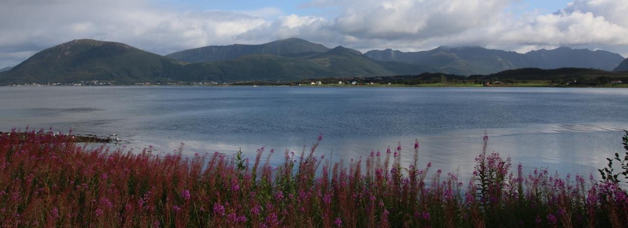 Rundreise Norwegen: Lofoten - Langoya