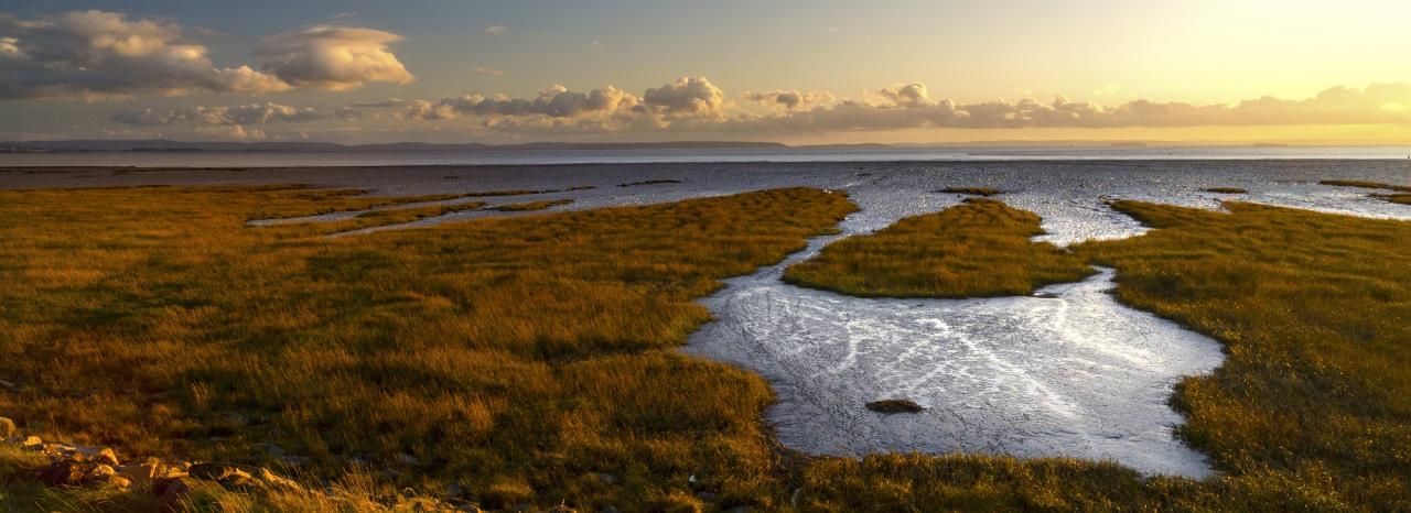 Rundreise Großbritannien: Wales - Caerleon
