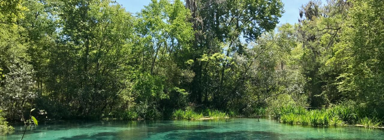 Rundreise USA: Florida - De Leon Springs State Park