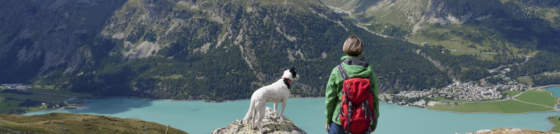 Hund, Wandern, Berge, See