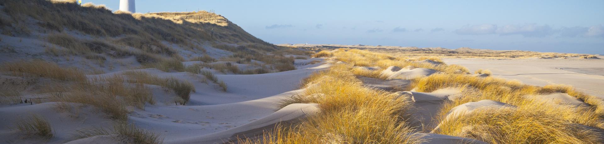 Nordseeküste Ansicht vom Lister Ellenbogen auf Sylt mit Leuchtturm und Dünen.