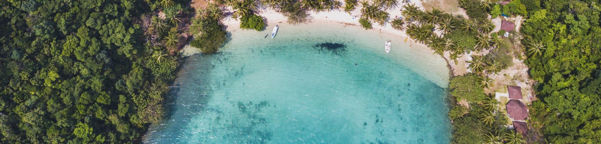 Stand, Meer, Palmen, Wald, Boot