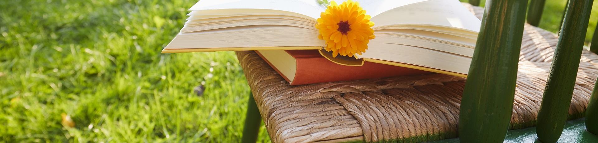 Bücher, Wiese, Blume