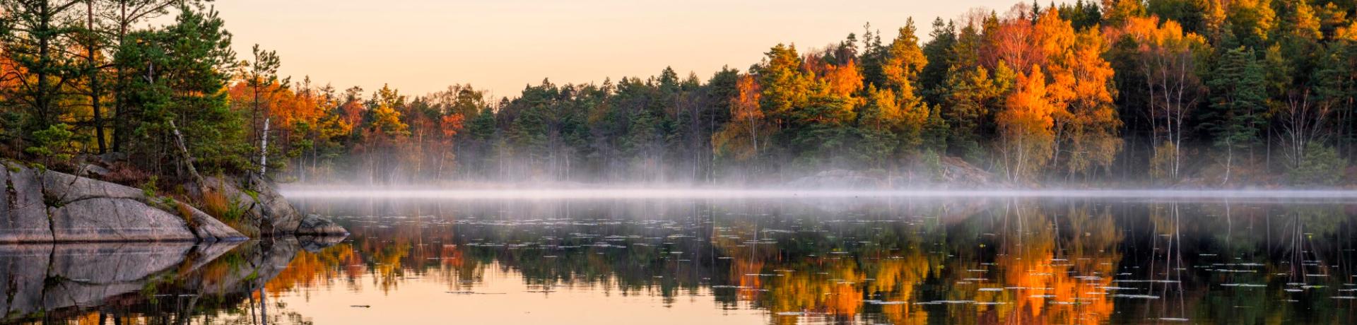 Nebel über herbstlicher Landschaft