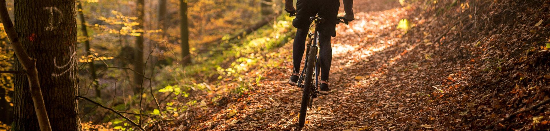 Emotion Radwanderwege Europa GI-1209999253