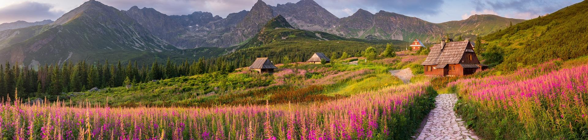 Berge, Tal, Hütten, Blumen Polen