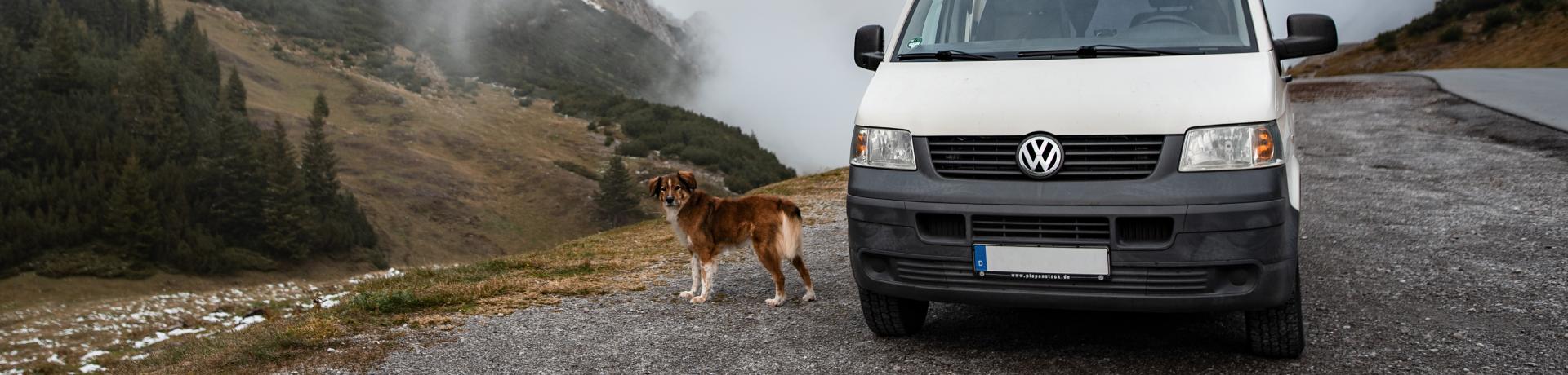 Campervan mit Hund in Bergen