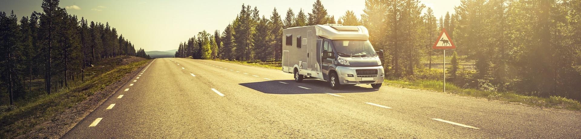 Wohnmobil auf Straße neben Schild mit Elch