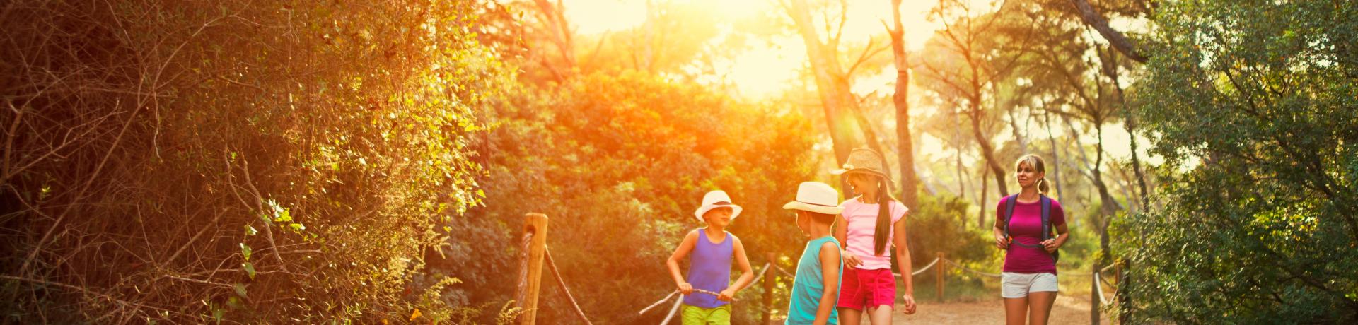 Kinder, Ausflug, Wald Mallorca