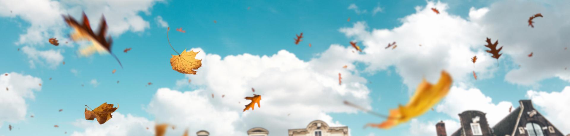 Herbstlaub in Amsterdam Buntes Herbstlaub fällt vor Reihenhäusern in Amsterdam