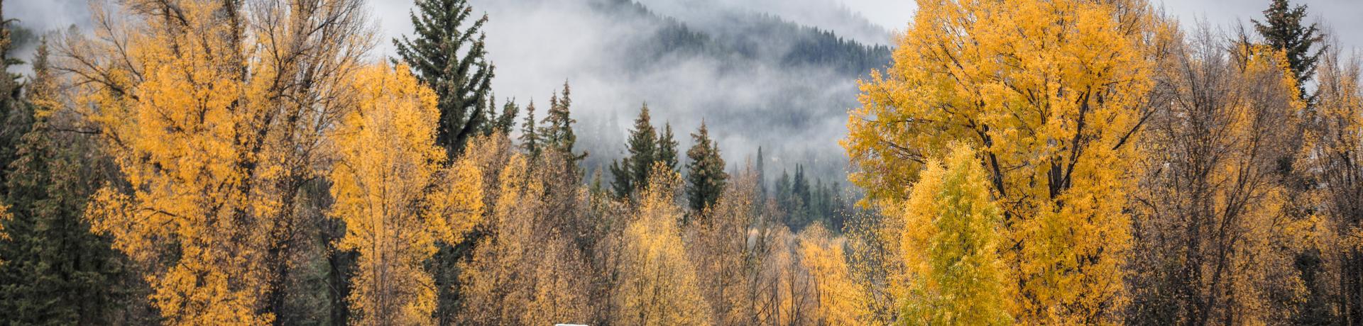 Camper auf herbstlicher Straße