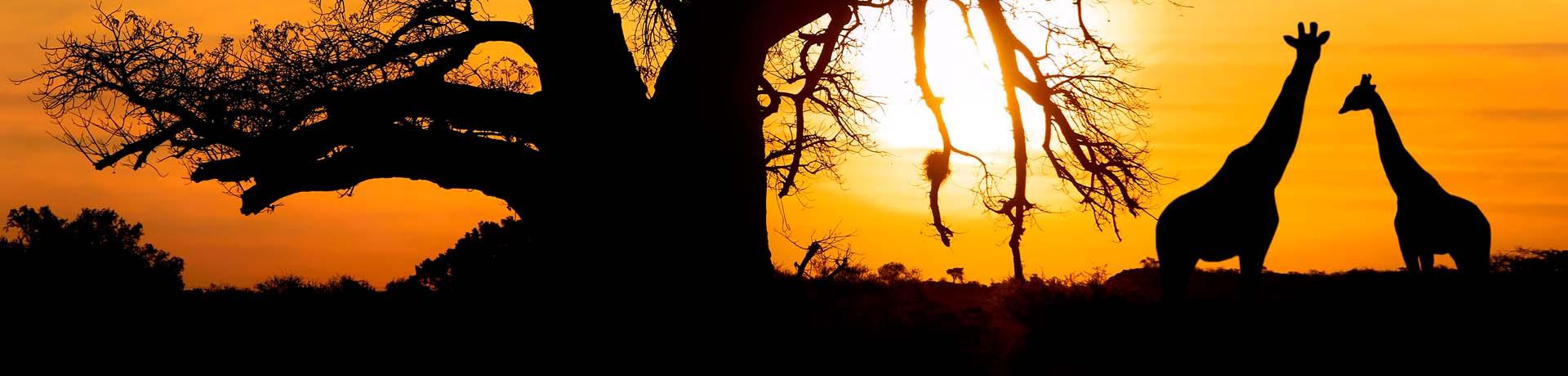 Südafrika Südafrika