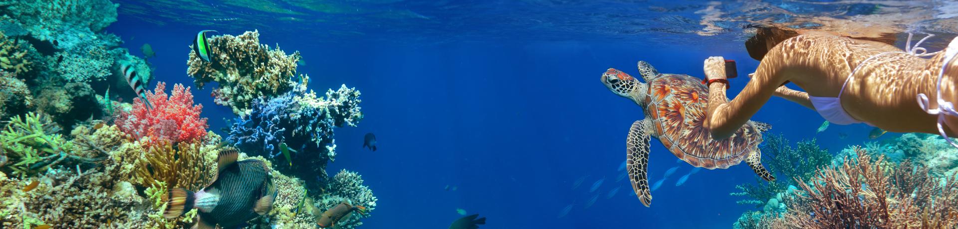 Sonstiges: Tauchen - Korallenriff - Emotion