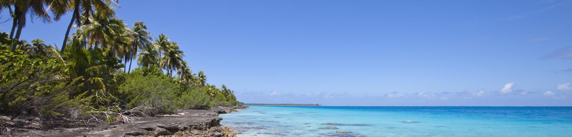 Sandstrand mit Palmen Sandstrand mit Palmen