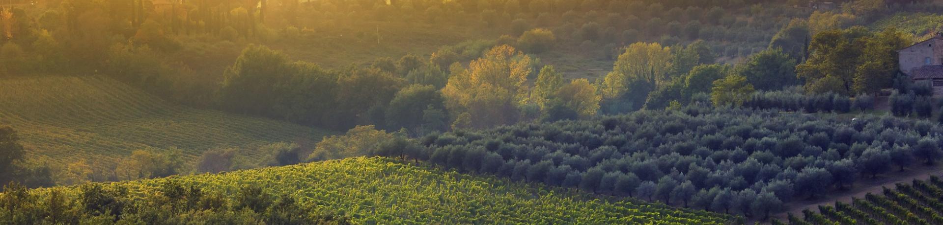 Sonnenuntergang über der Toskana Sonnenuntergang über der Toskana