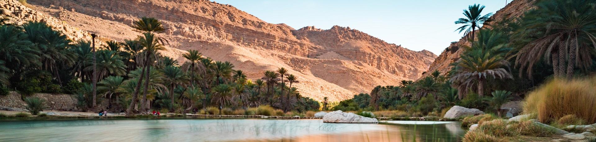 Wadi, Oase, Felsen Oman