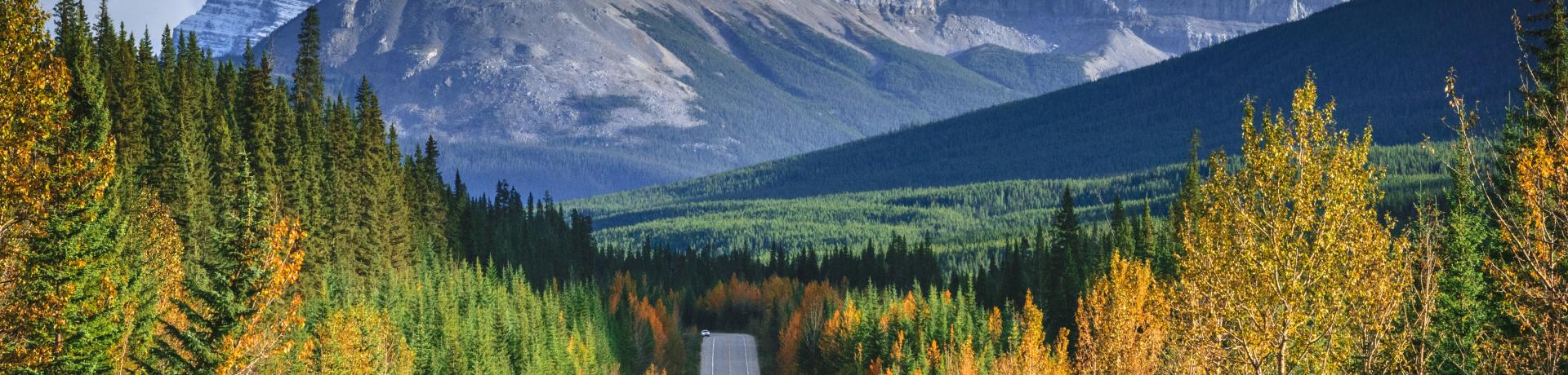 Straße mit Bergpanorama