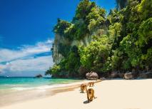 Monkey Beach Insel Koh Pee Pee (Phi Phi)