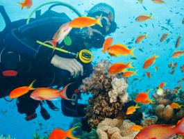 Themenwelt Tauchurlaub: Emotion Background