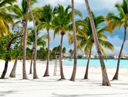 Palmenstrand in der Dominikanischen Republik mit Strandbar.