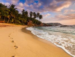 Strand, Palmen, Meer Tangalle