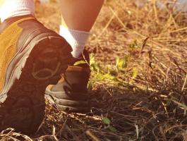 Themenwelt Aktivurlaub_Teaser