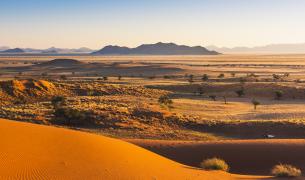 Panorama über die Wüste des Namib Naukluft National Park in Namibia.